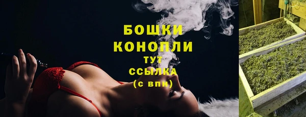 PSILOCYBIN Артём